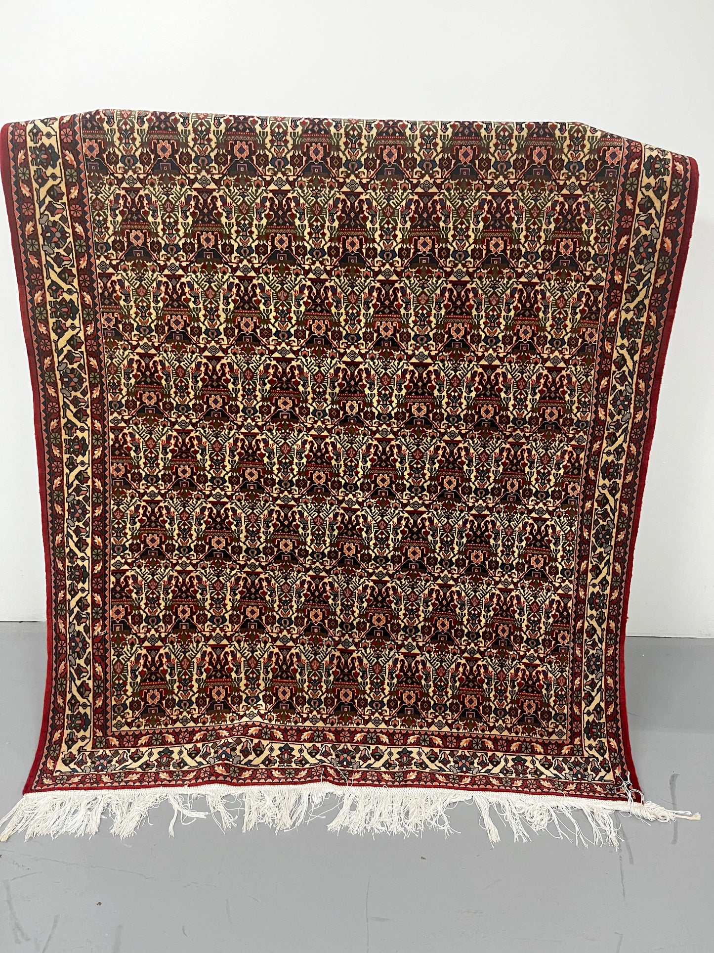 Oriental Floral Pink Red 5 x 7 Hand Knotted Wool Area Rug