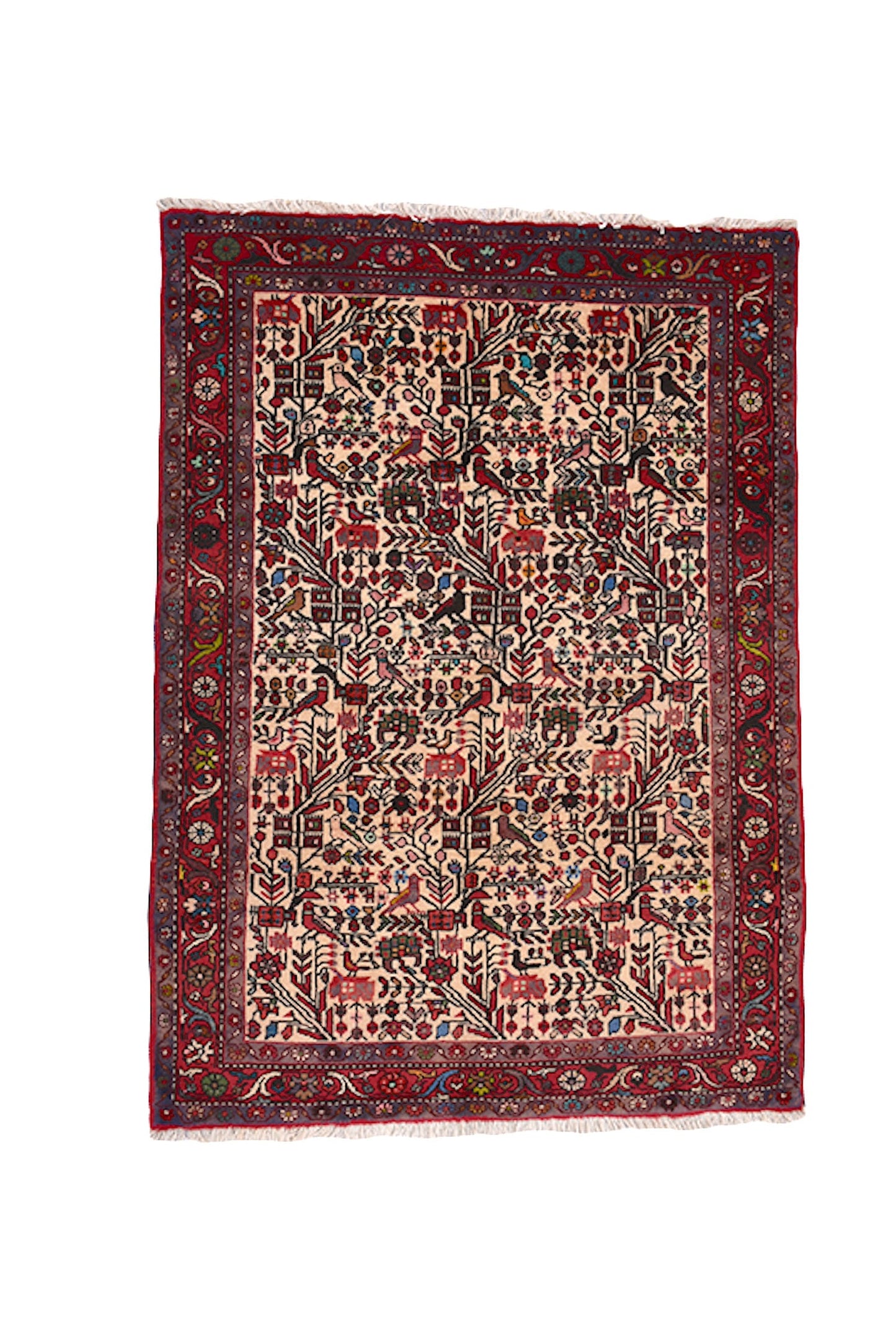 Birds & Plants 3 x 5 Colorful Rug | Red and Beige Rug | Vintage Persian Kazak | Hand Woven Antique Rug | Persian Style Landscape Rug