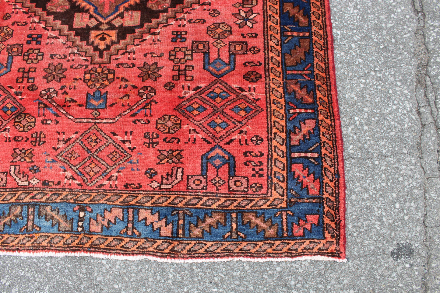 Coral Pink Handmade 4x6 Persian Rug with Blue Bordered Outline