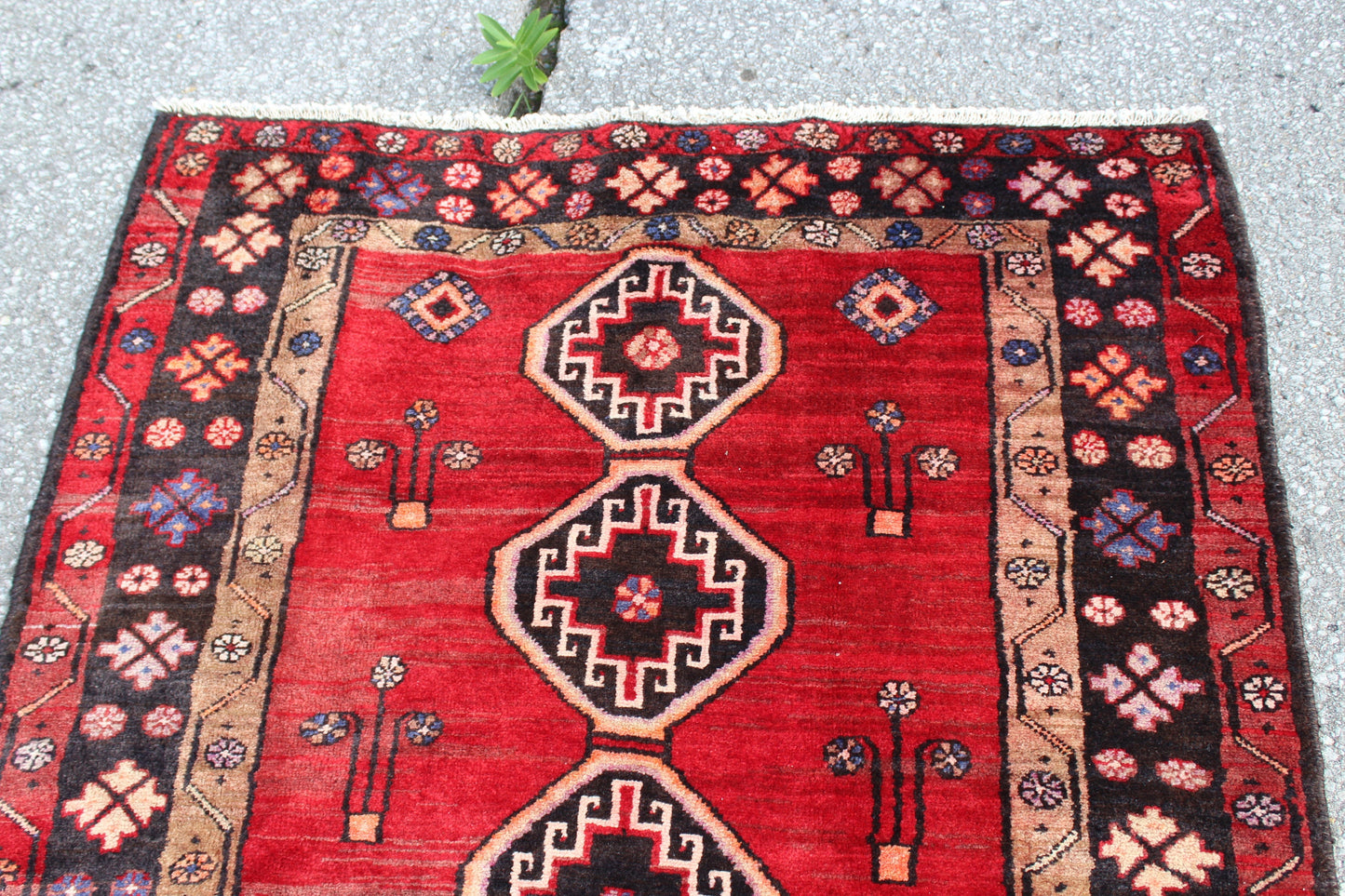 Red 4x6 Hand Knotted Turkish Rug with Navy Blue Border