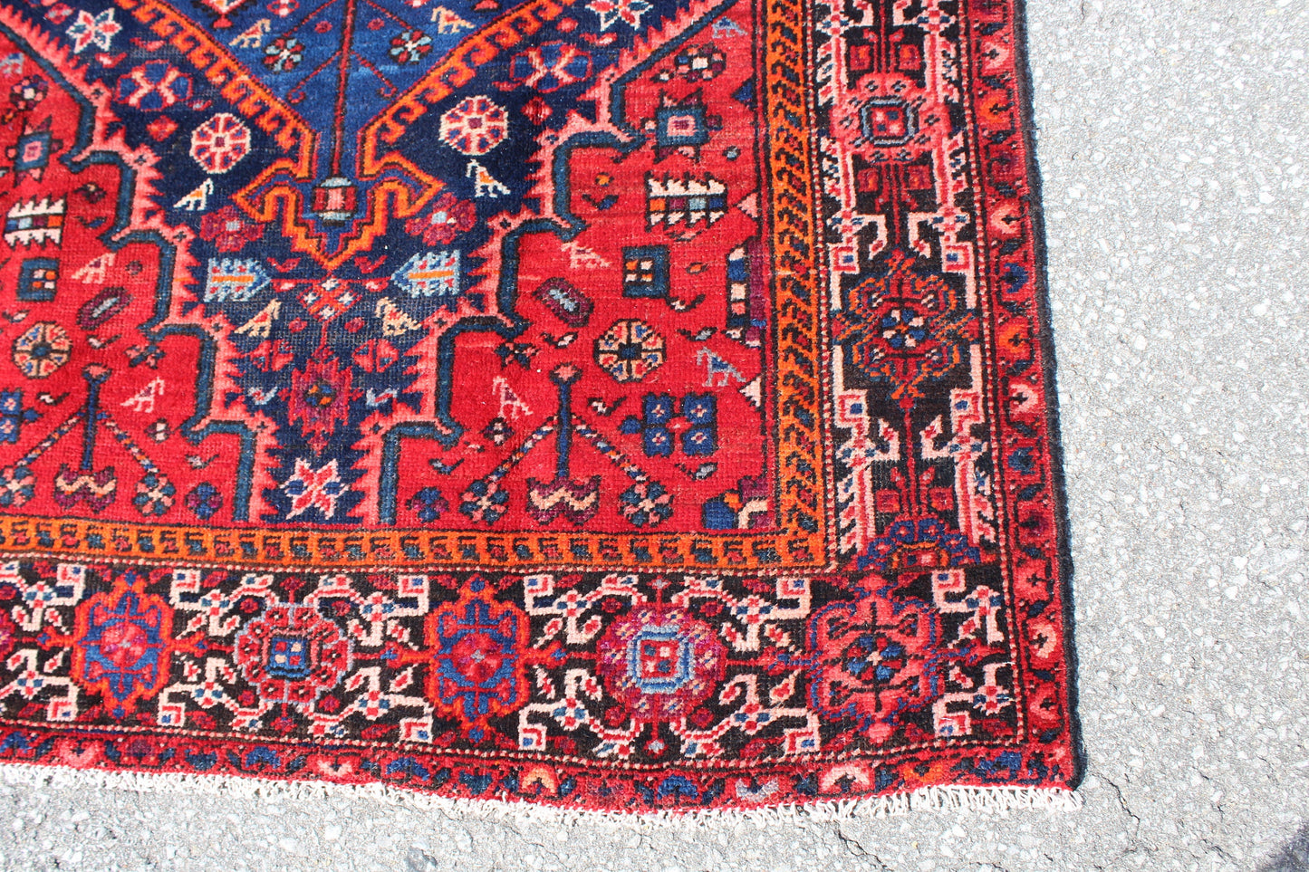 Pink Red Bright 4x6 Area Rug with Blue Medallion | Wool