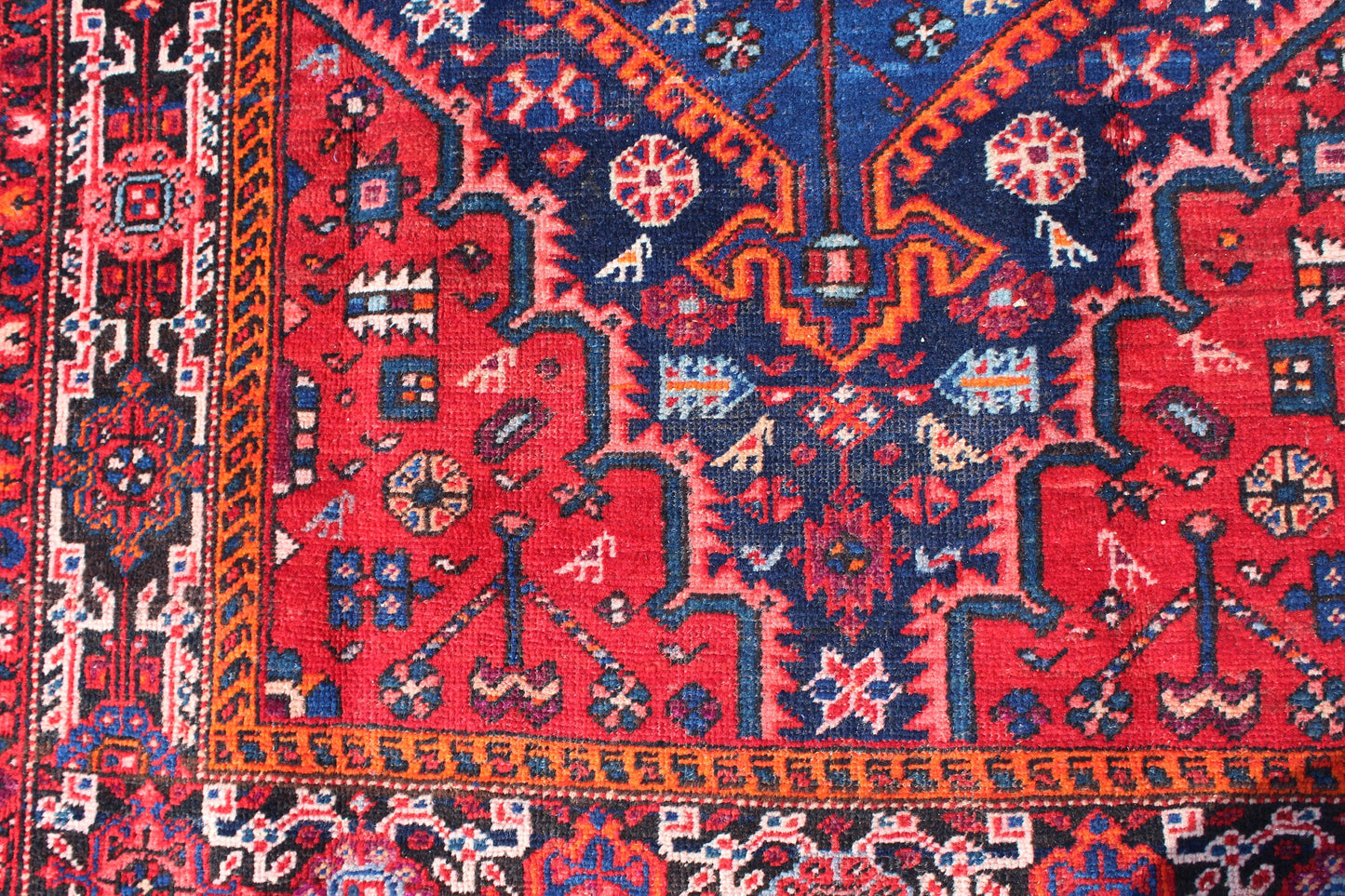 Pink Red Bright 4x6 Area Rug with Blue Medallion | Wool