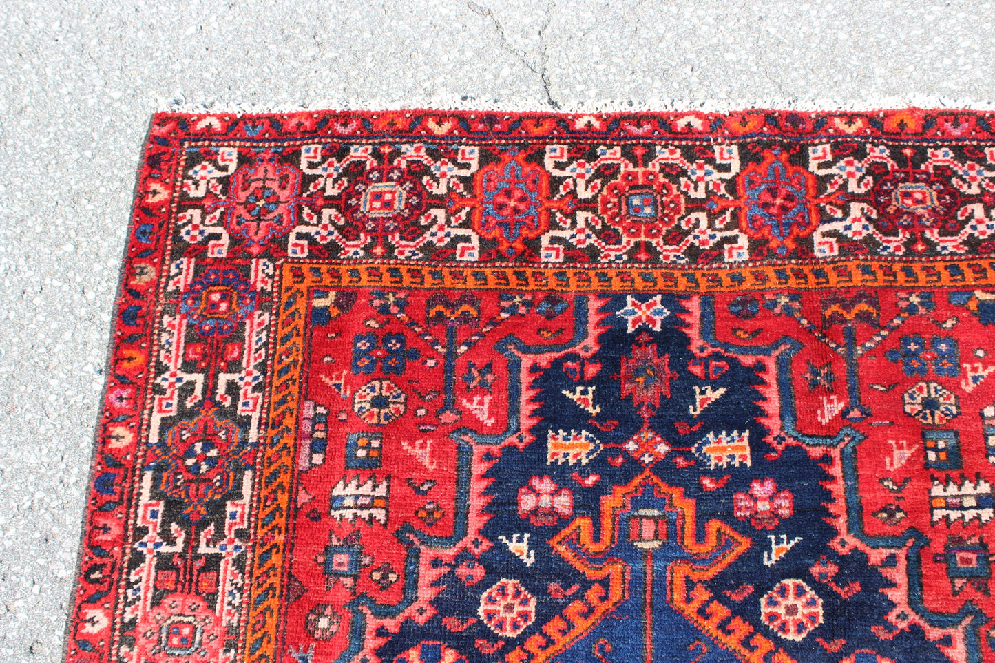 Pink Red Bright 4x6 Area Rug with Blue Medallion | Wool