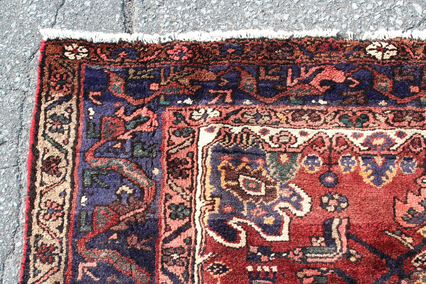 Oriental One of a Kind Persian Style Rug 4x7 feet Red Blue