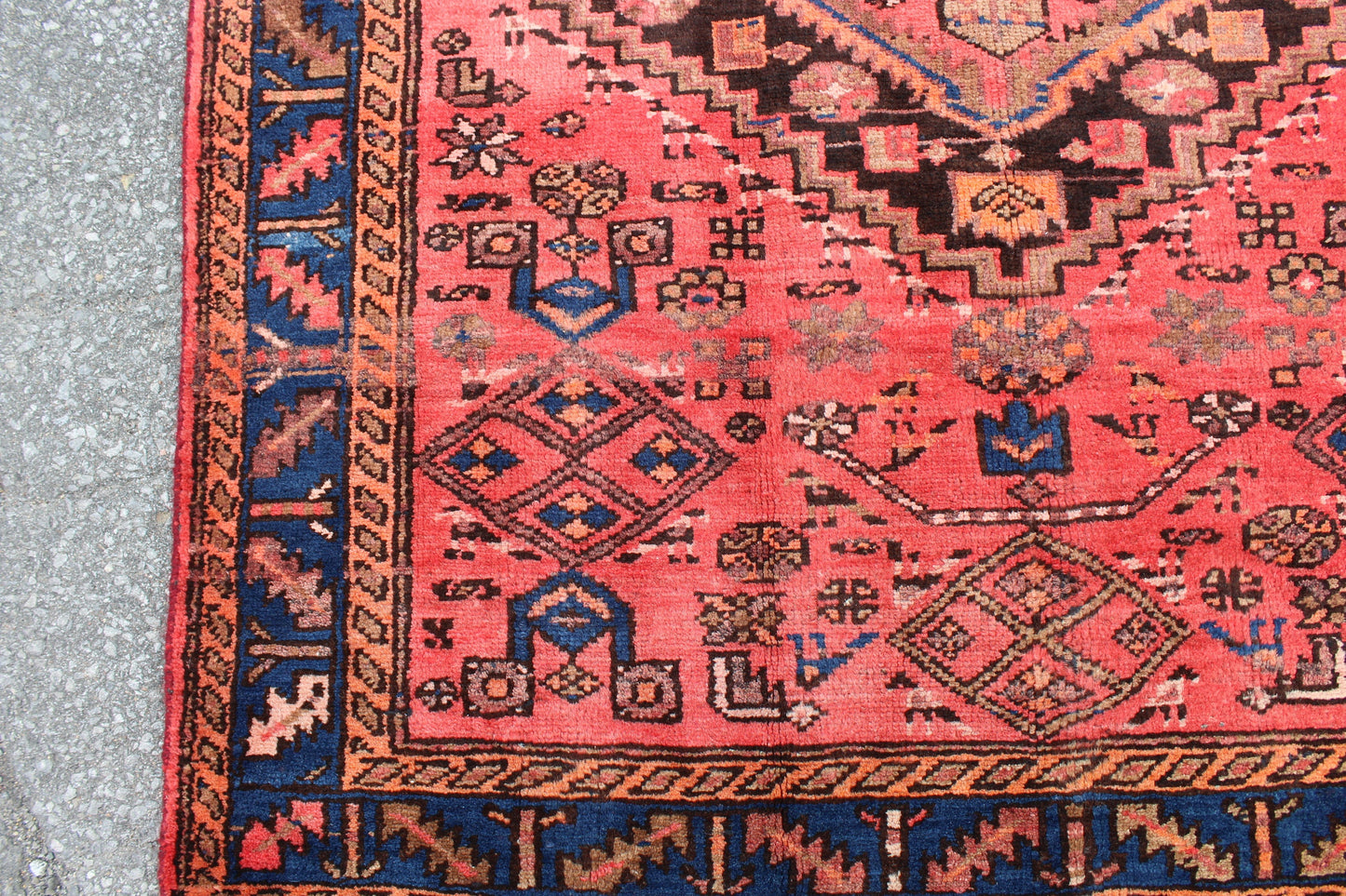 Coral Pink Handmade 4x6 Persian Rug with Blue Bordered Outline