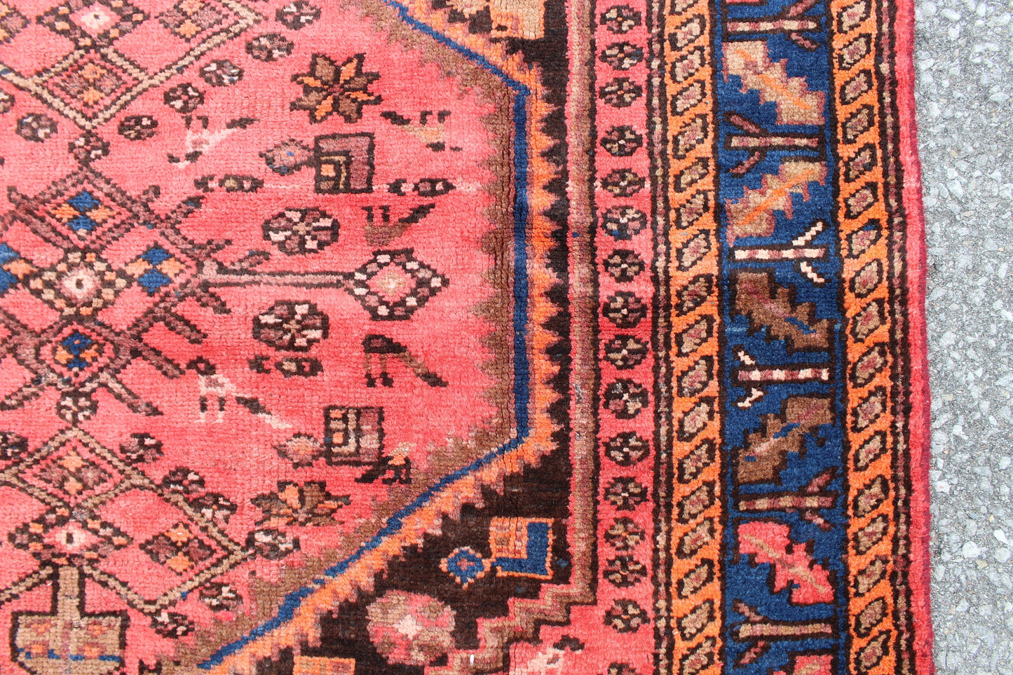 Coral Pink Handmade 4x6 Persian Rug with Blue Bordered Outline