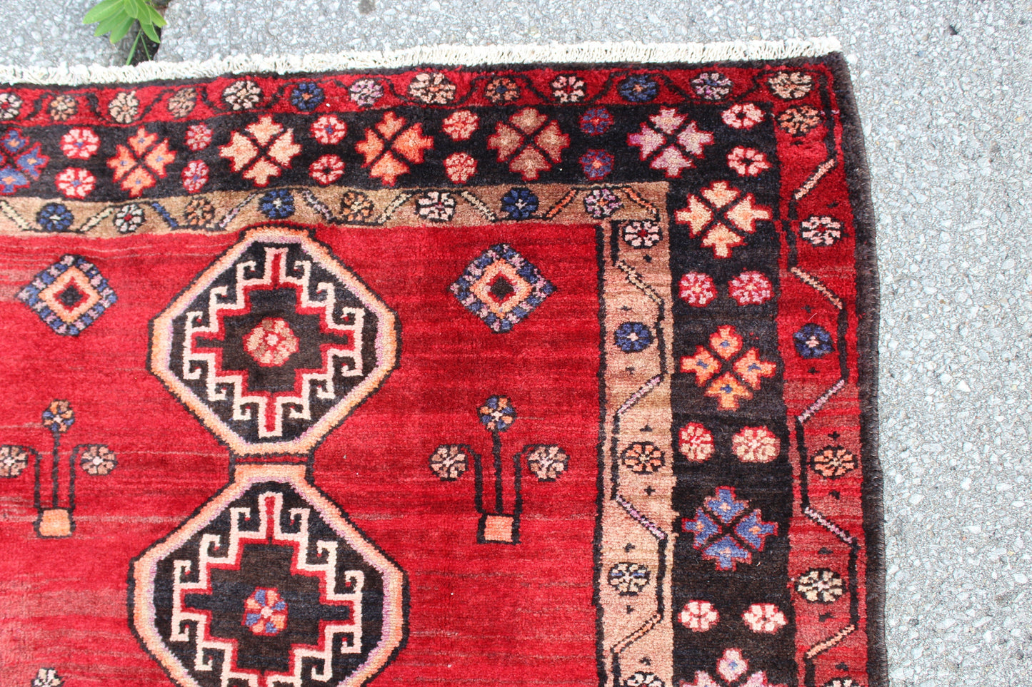 Red 4x6 Hand Knotted Turkish Rug with Navy Blue Border