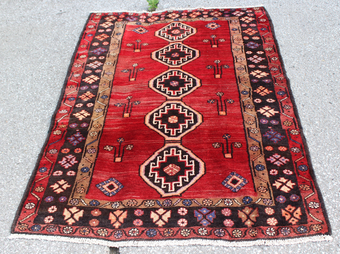 Red 4x6 Hand Knotted Turkish Rug with Navy Blue Border