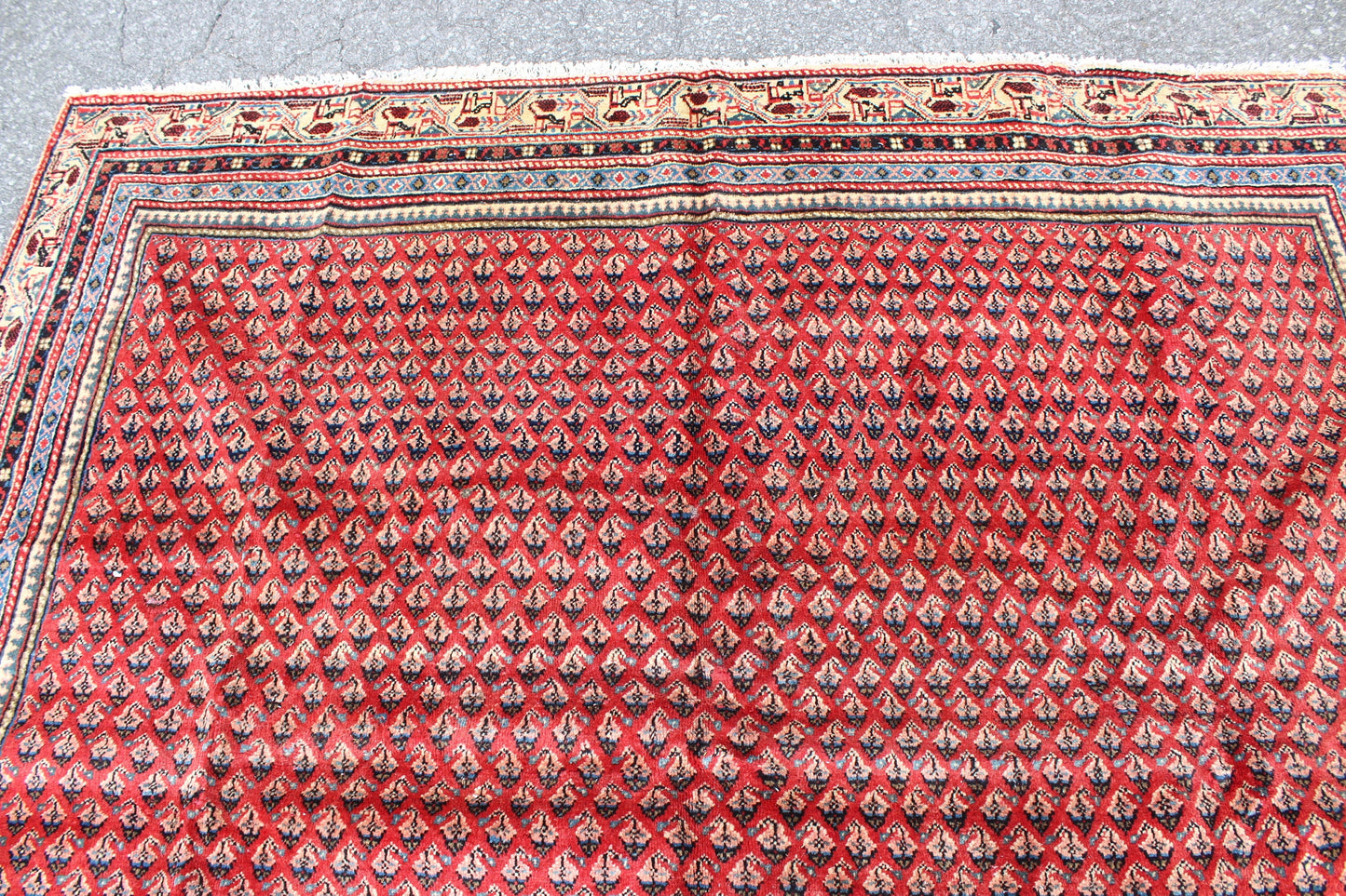 Coral Red 7x10 Rug with Pattern of Small Blue Florals