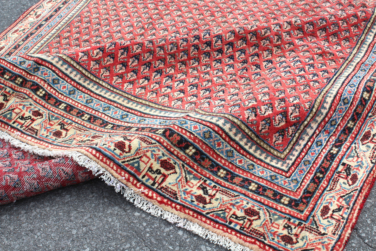 Coral Red 7x10 Rug with Pattern of Small Blue Florals