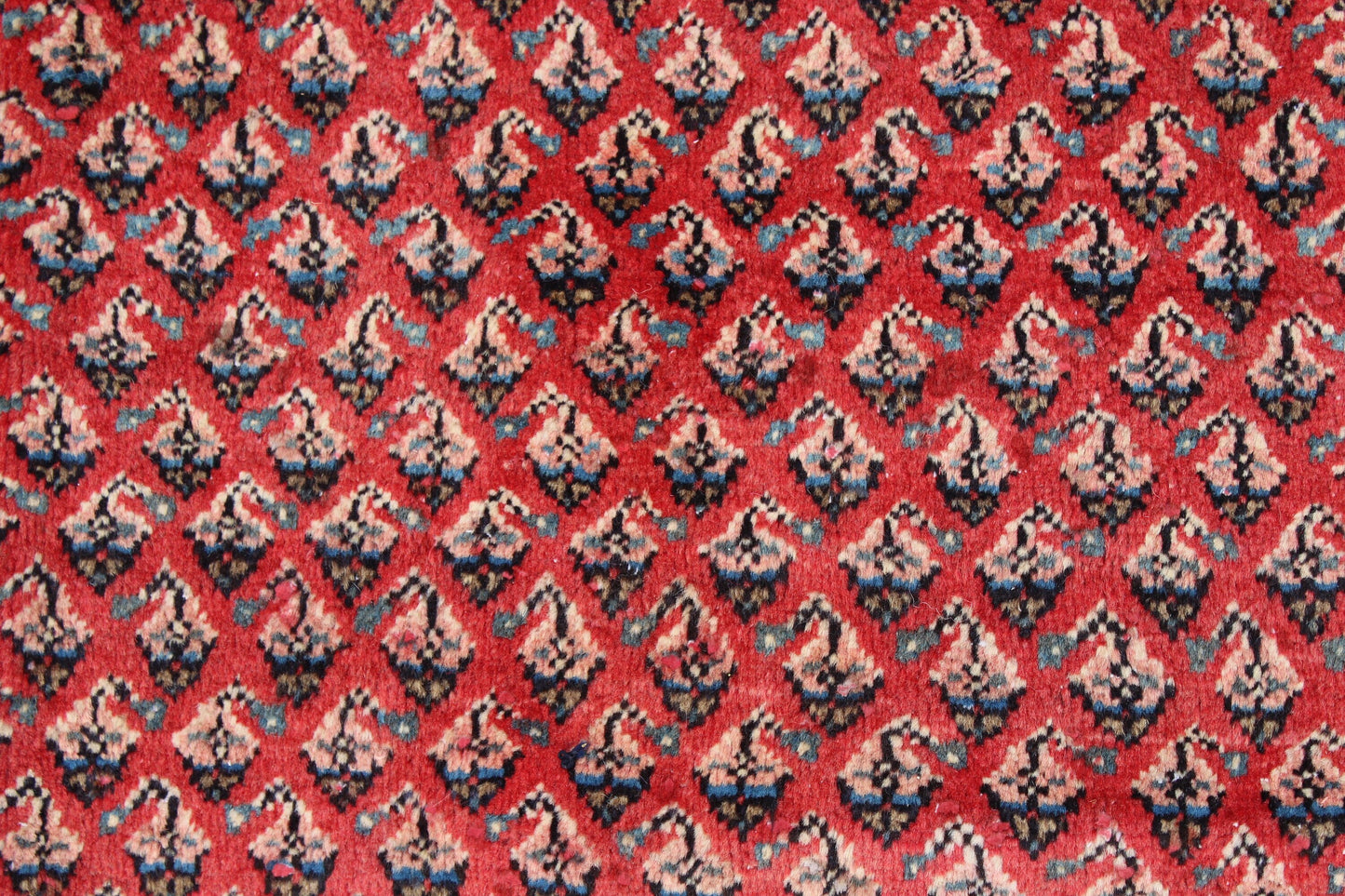 Coral Red 7x10 Rug with Pattern of Small Blue Florals