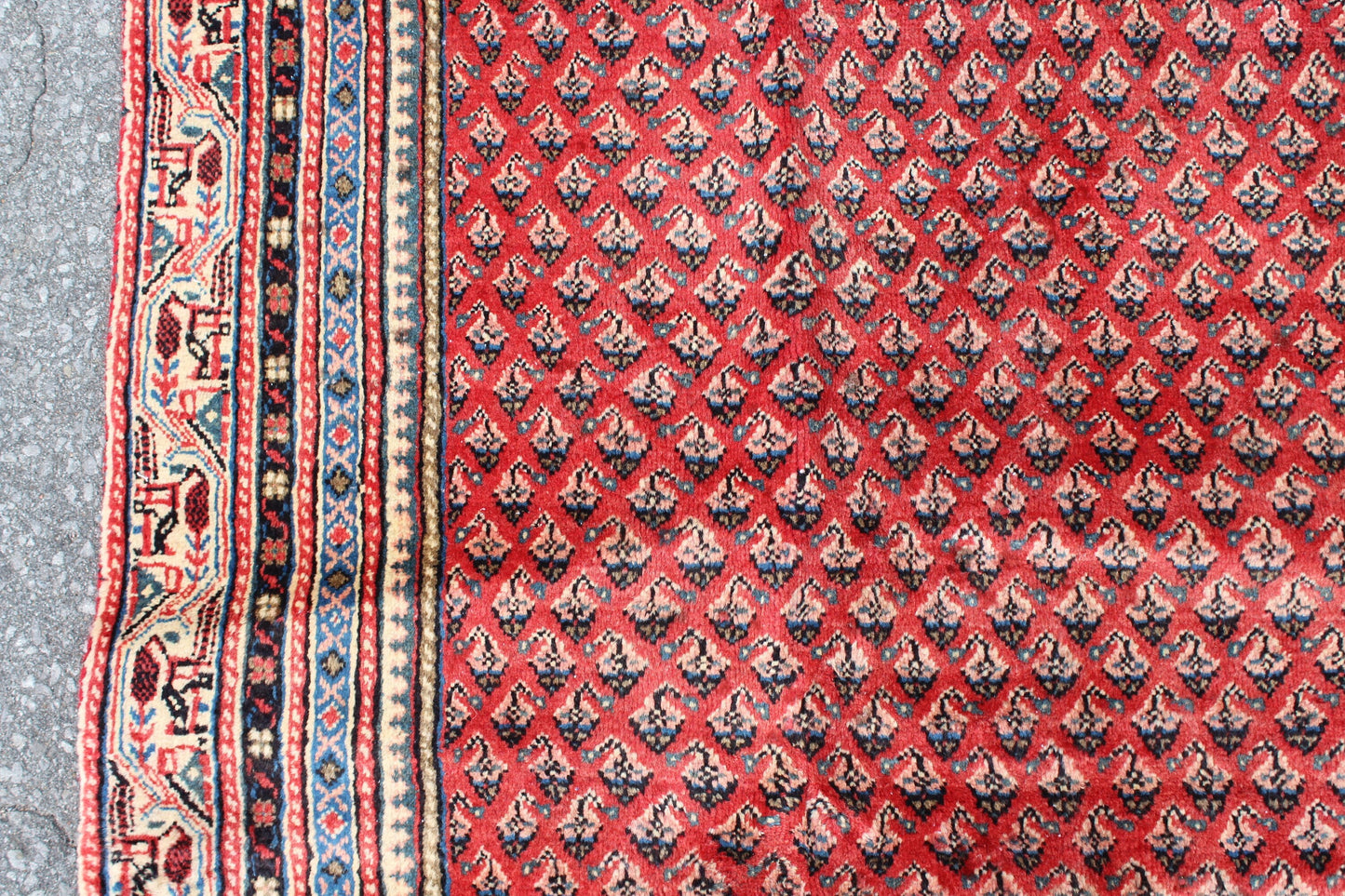Coral Red 7x10 Rug with Pattern of Small Blue Florals