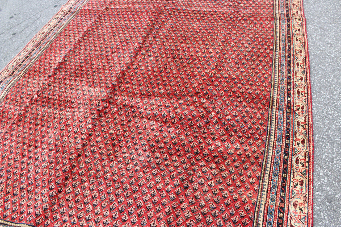 Coral Red 7x10 Rug with Pattern of Small Blue Florals