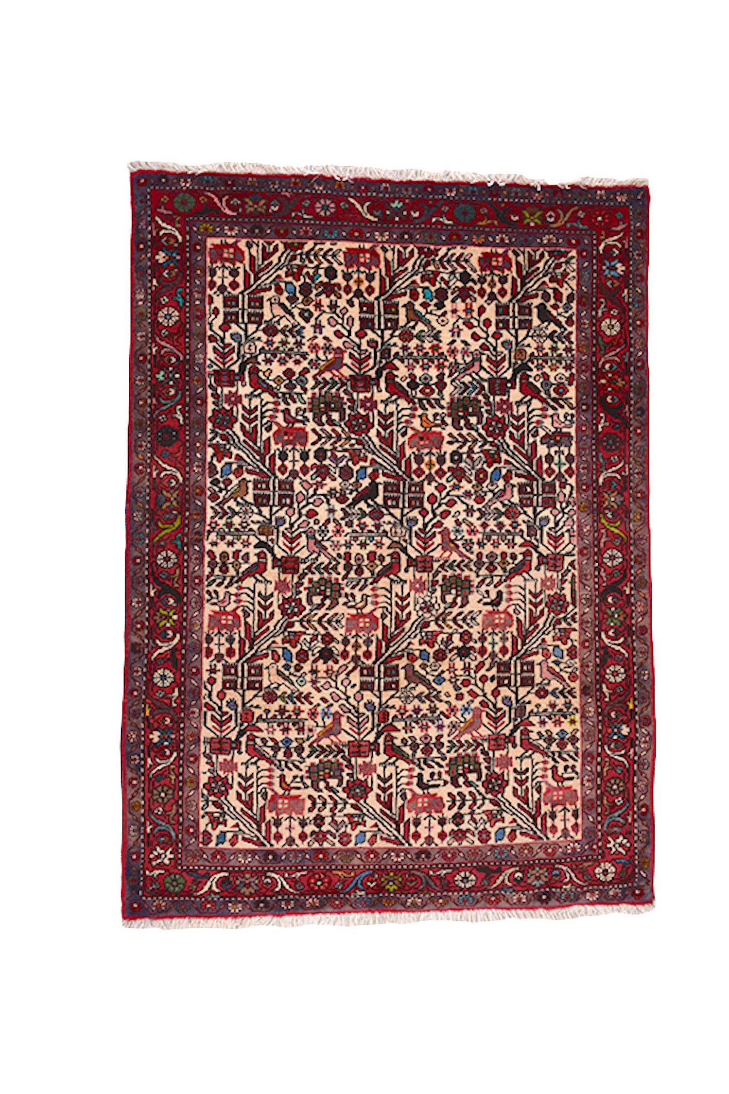 Birds & Plants  3 x 5 Colorful Rug | Red and Beige Rug | Vintage Persian Kazak | Hand Woven Antique Rug | Persian Style Landscape Rug