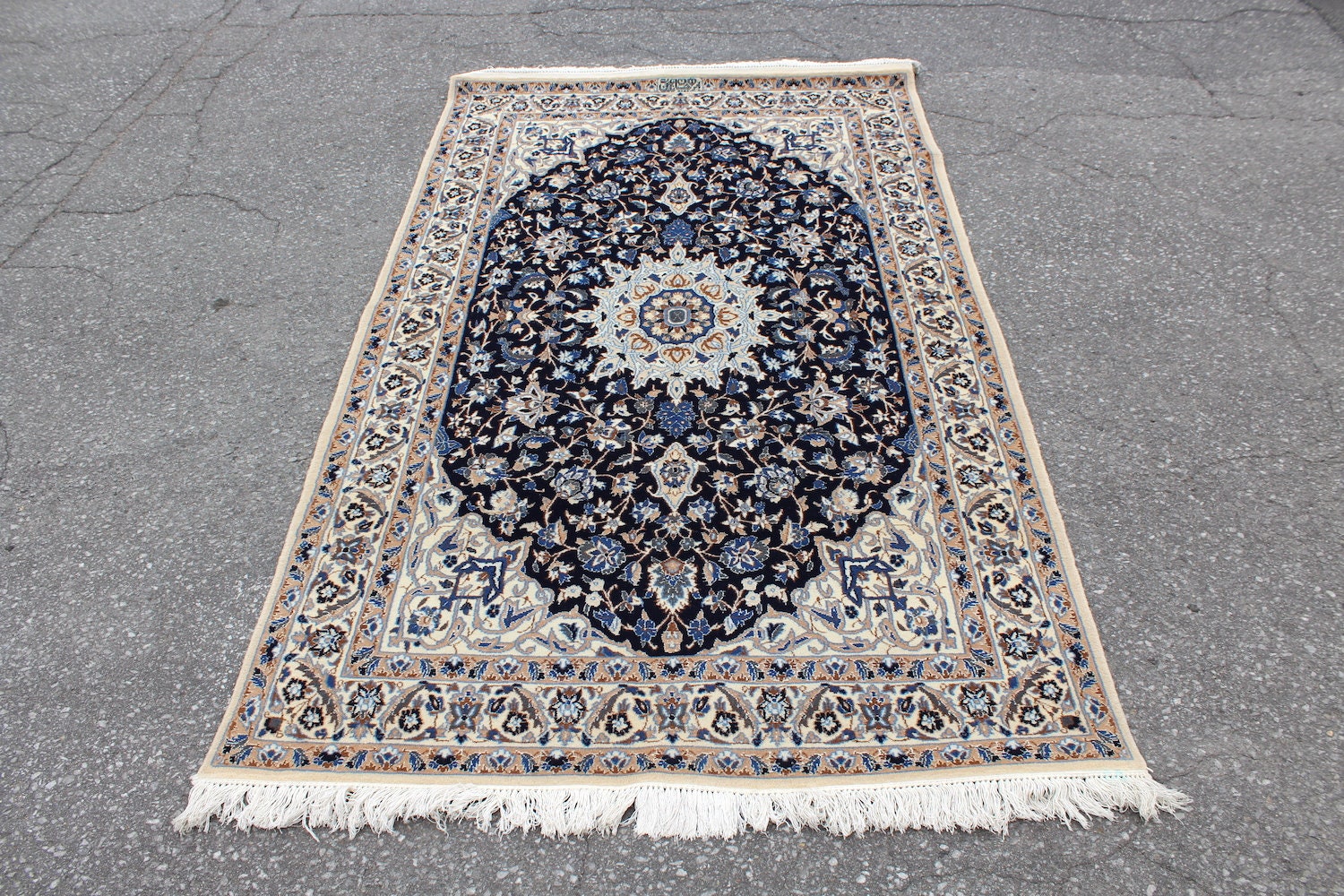 Antique Persian Blue 4x6 Medallion Rug | Traditional Oriental Design | Thick Wool Pile With Blue and Beige Details | Hand Knotted