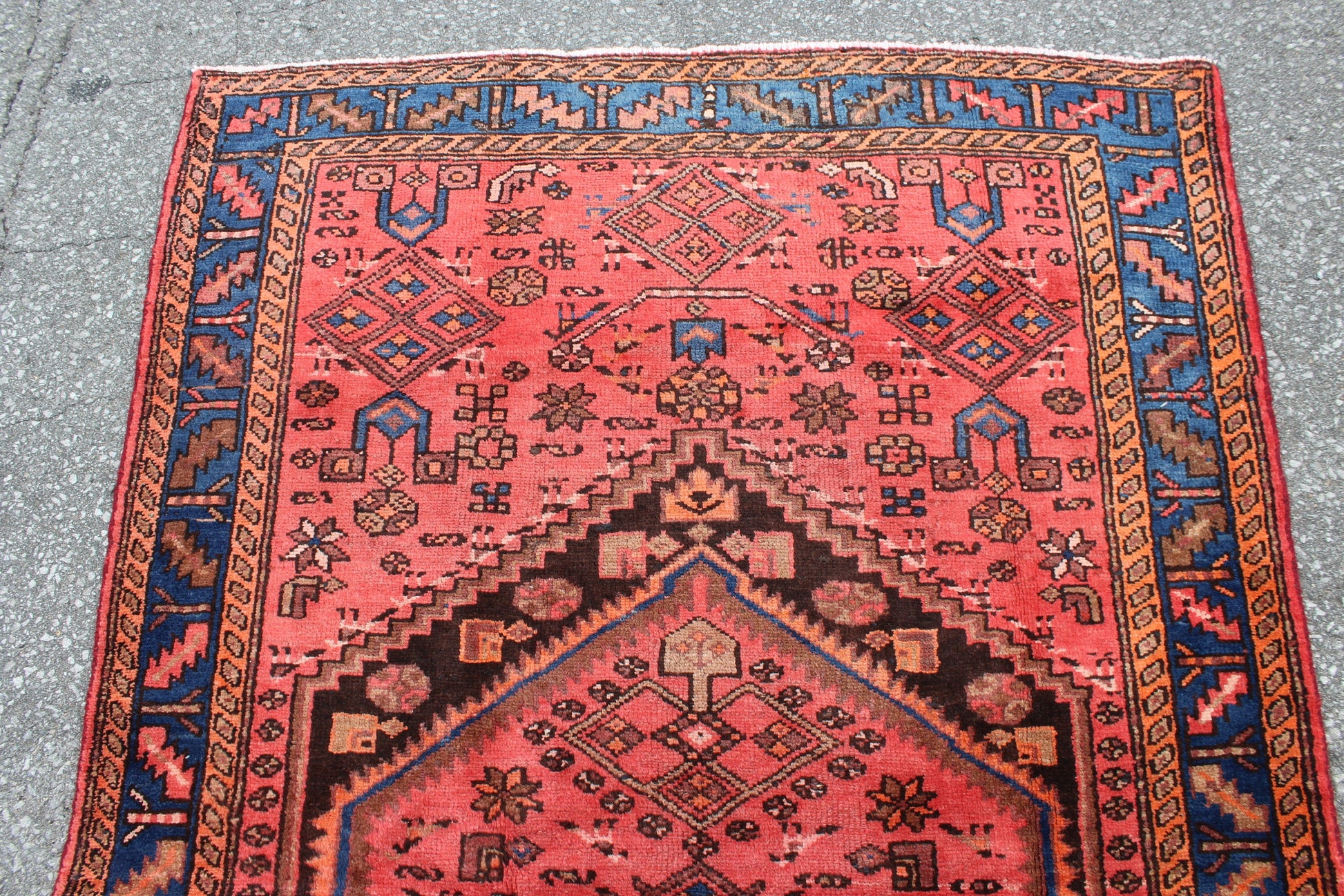 Coral Pink Handmade 4x6 Persian Rug with Blue Bordered Outline