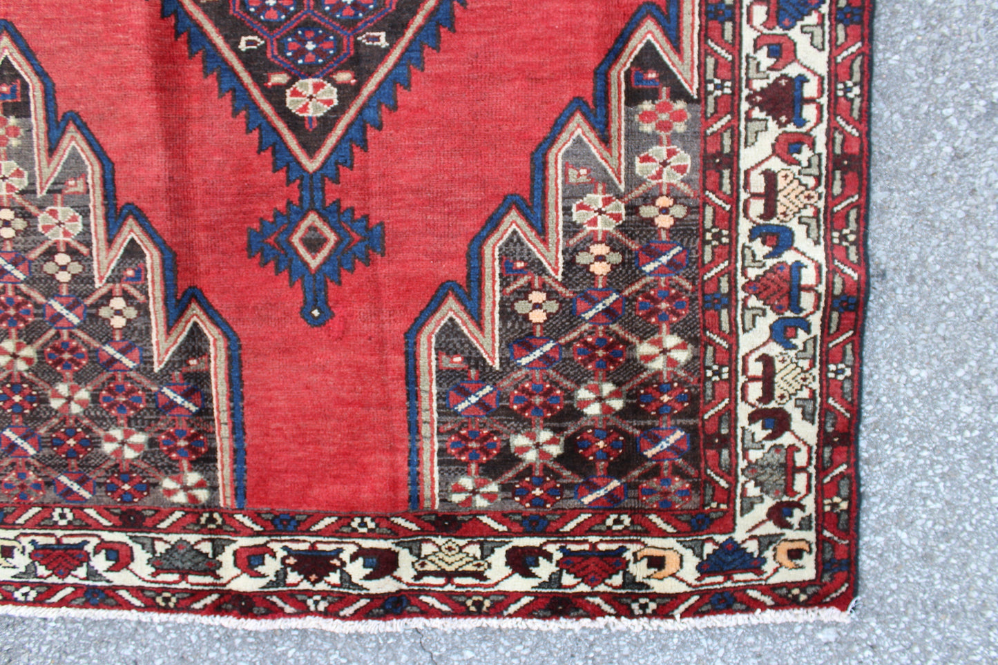 Red Rug with Navy Beige Border 4x7 Handmade Wool Rug