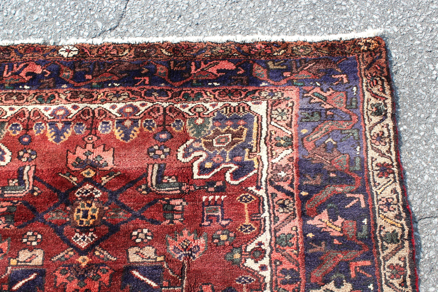 Oriental One of a Kind Persian Style Rug 4x7 feet Red Blue