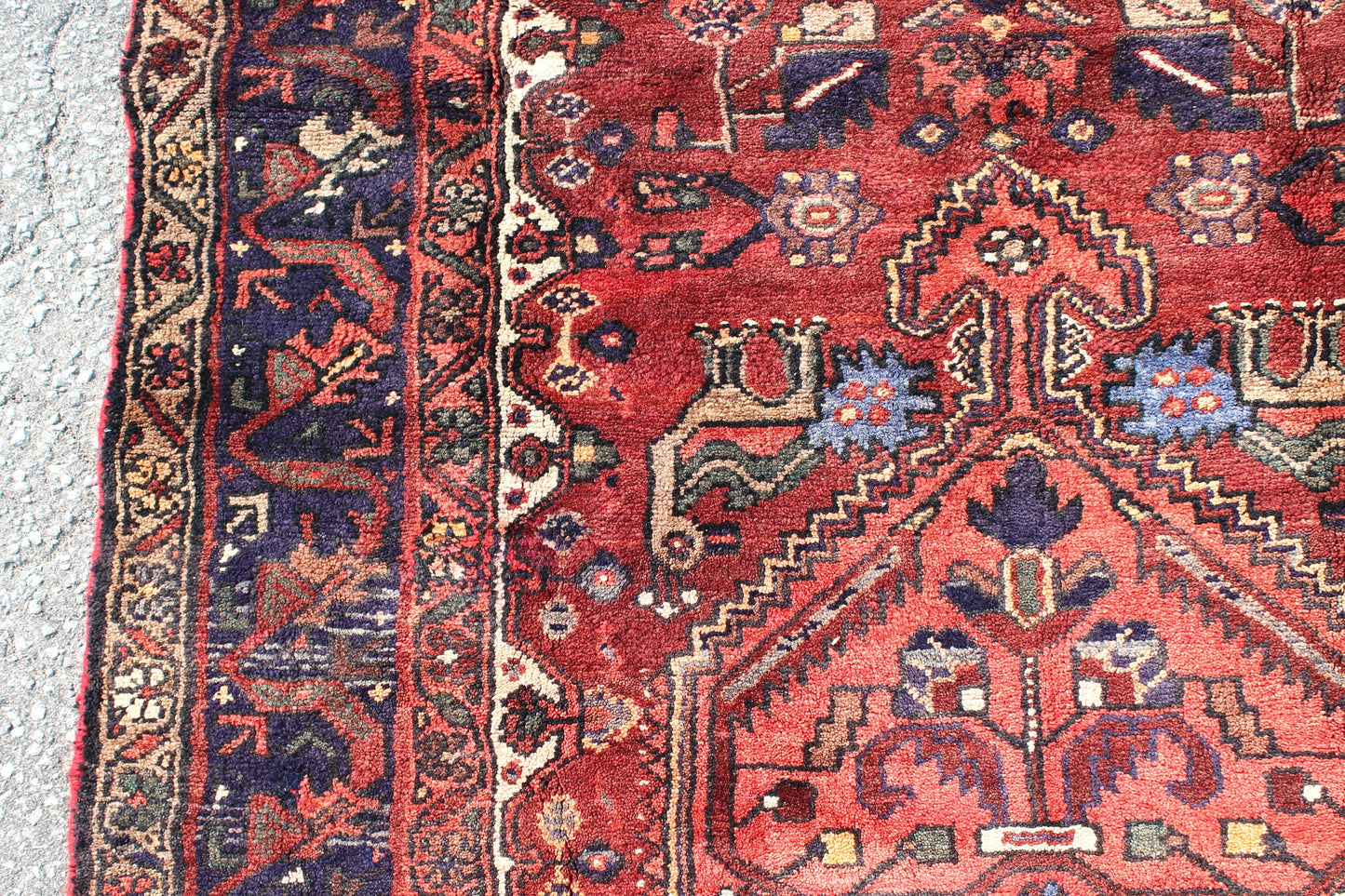 Oriental One of a Kind Persian Style Rug 4x7 feet Red Blue