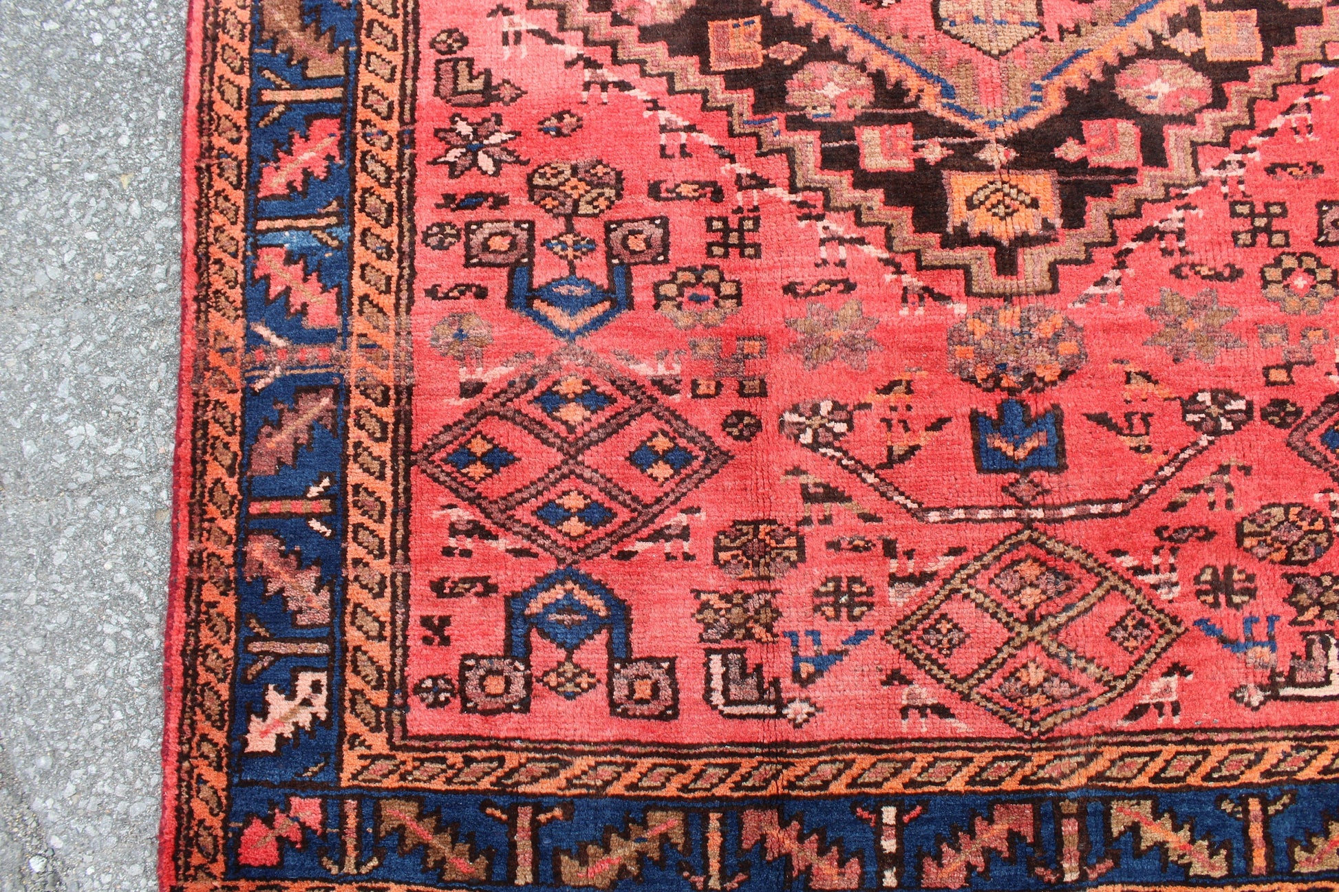 Coral Pink Handmade 4x6 Persian Rug with Blue Bordered Outline