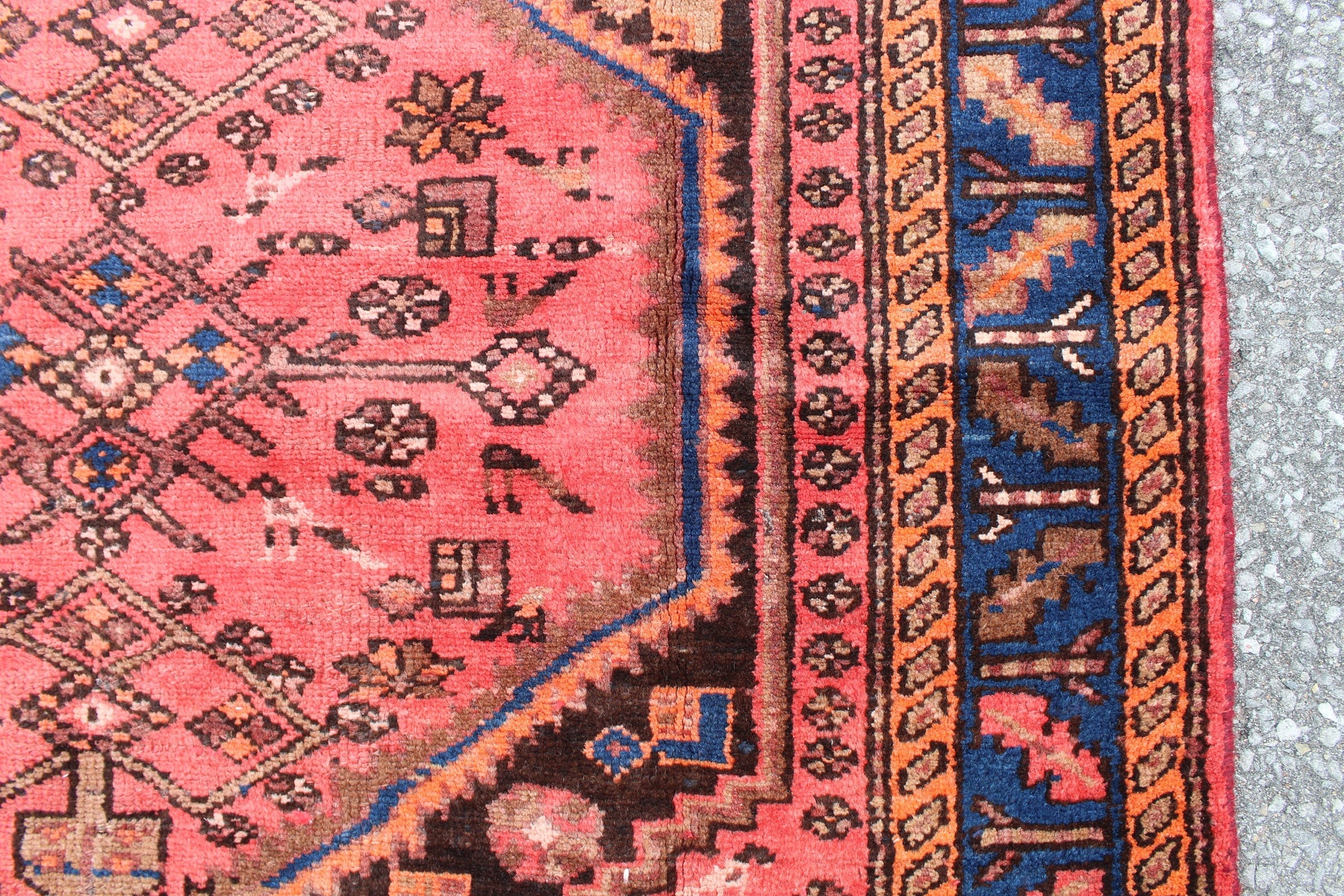 Coral Pink Handmade 4x6 Persian Rug with Blue Bordered Outline