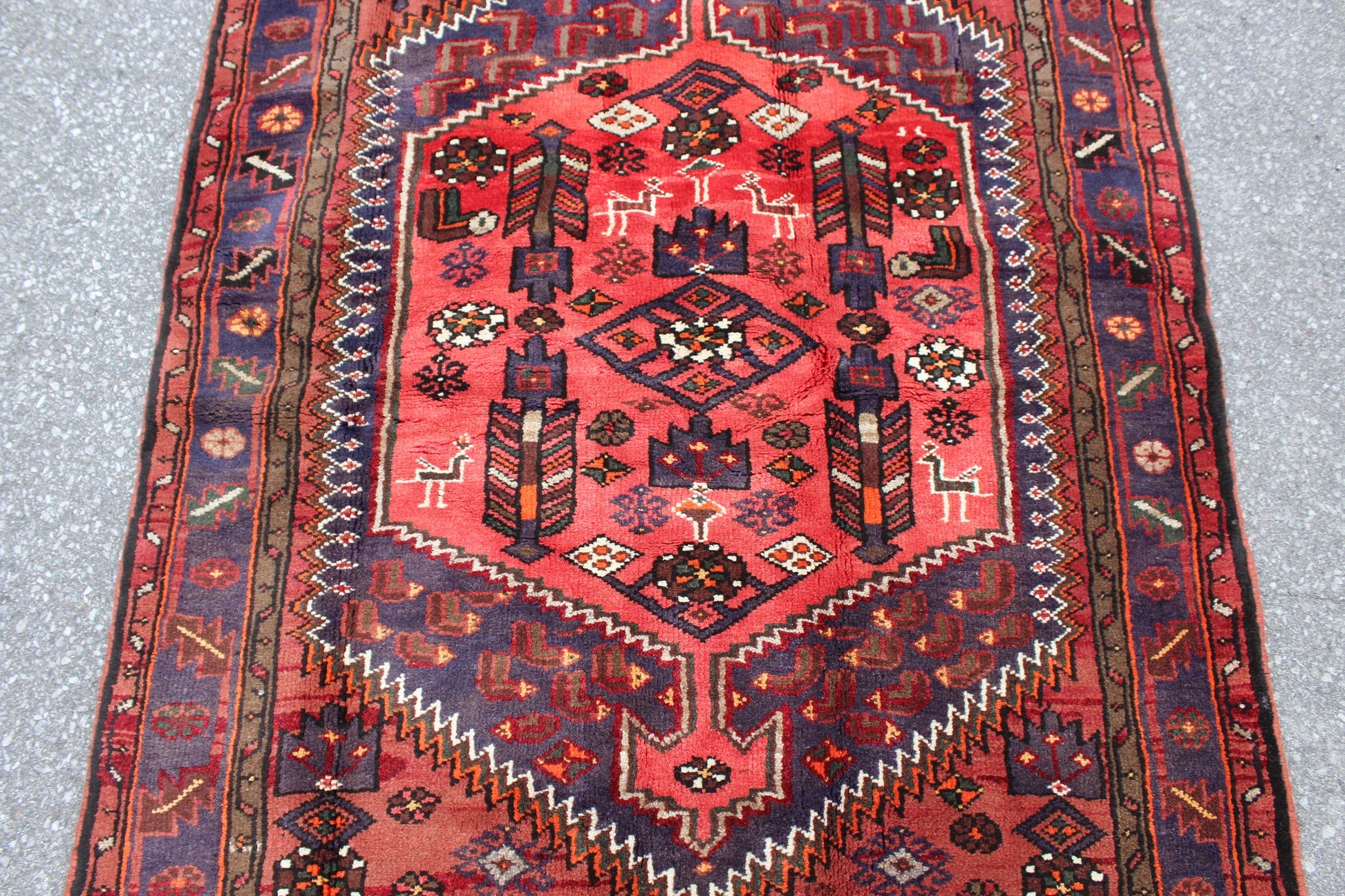 Coral 3x7 Rug with Purple Blue Border | Persian Style Handmade Rug