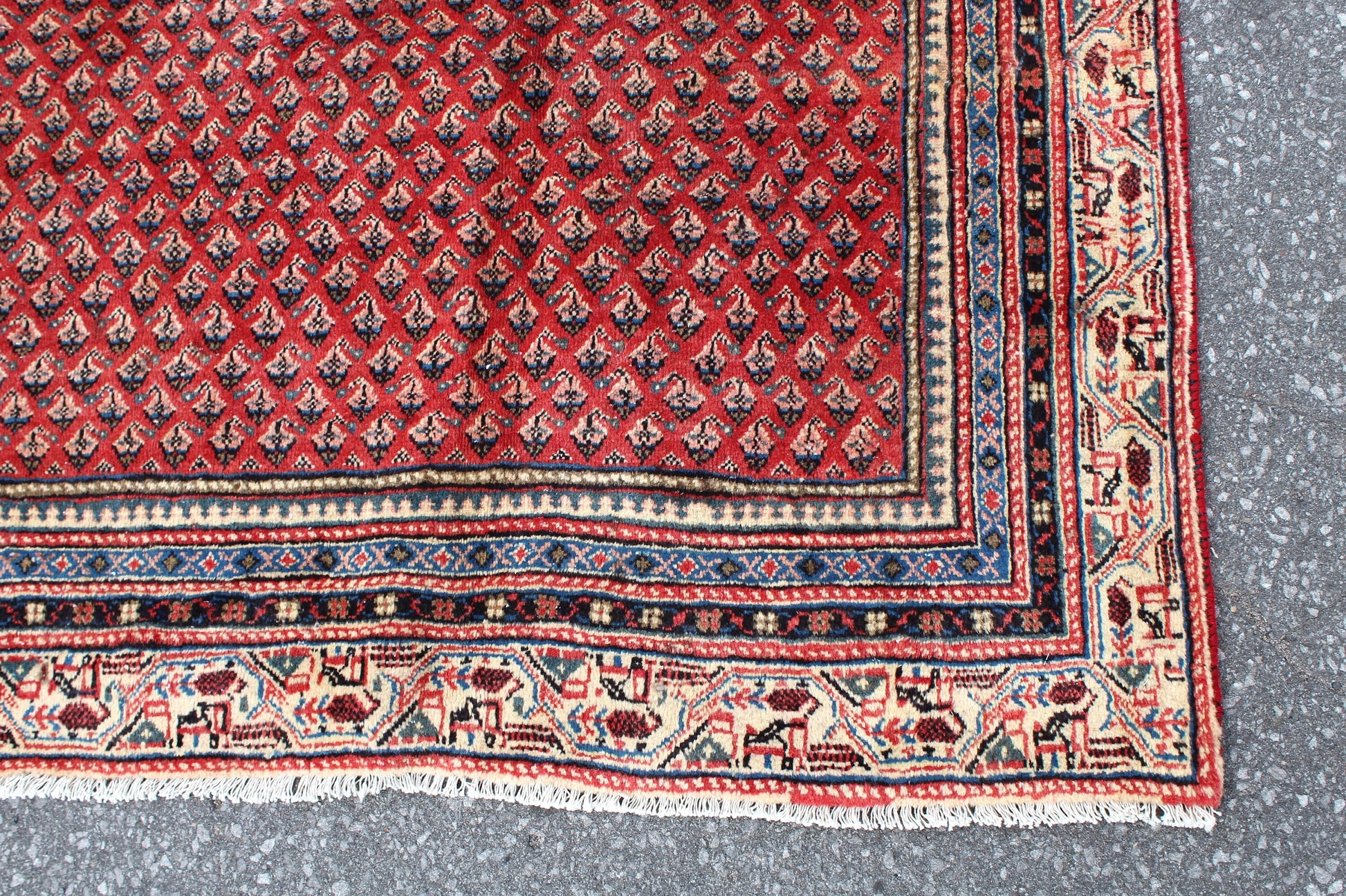 Coral Red 7x10 Rug with Pattern of Small Blue Florals