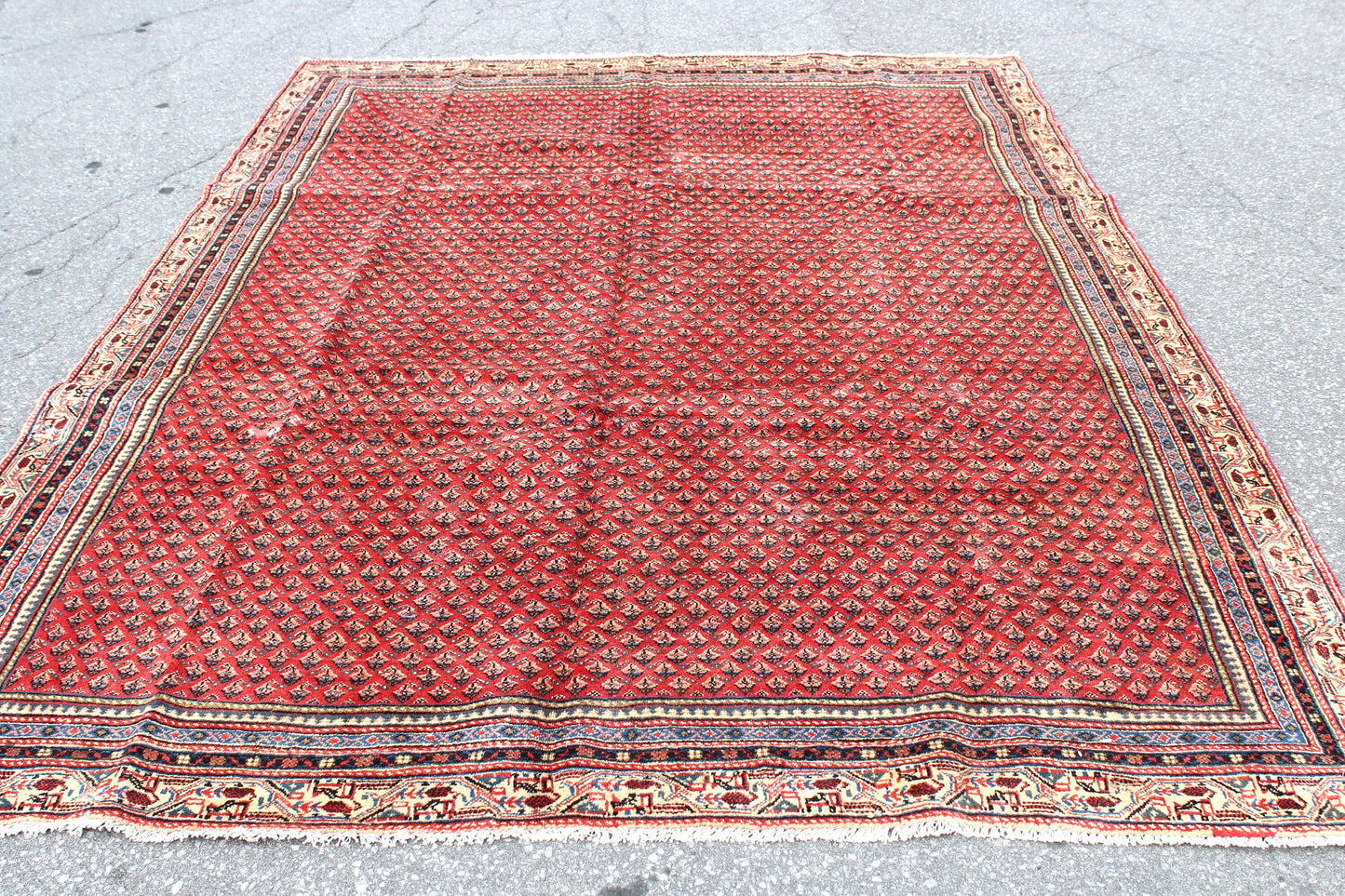 Coral Red 7x10 Rug with Pattern of Small Blue Florals